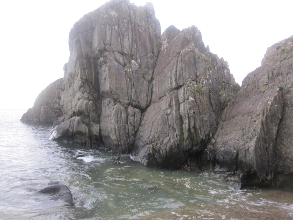 Vertical. Nature. Base. / The COVE